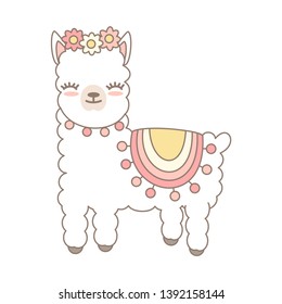 cute cartoon lama alpaca vector illustration isolated on white background
