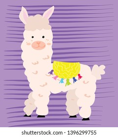 Cute cartoon lama, alpaca vector illustration on purple backgrounds