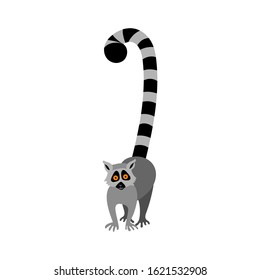 Cute cartoon lemur with big orange eyes. Exotic Madagascar animal in front view. Flat vector illustration.