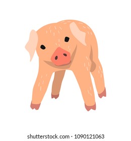 Cute Cartoon kleine Schweine, Vektorgrafik auf weißem Hintergrund