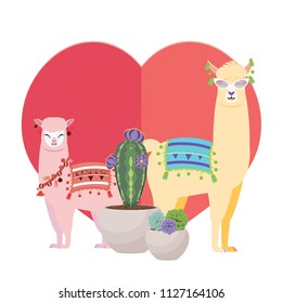 Cute cartoon Llama and Alpaca, greeting card design.