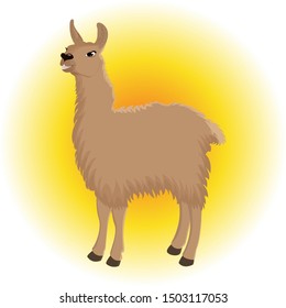 Cute cartoon llama of brown color against the background of the rising sun. Vector illustration.