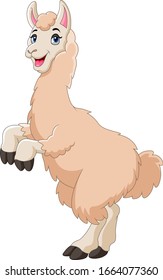 A Cute cartoon llama happy
