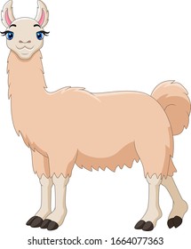A Cute cartoon llama happy