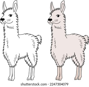 Cute cartoon llama for kid's coloring book. Vector illustration of hand drawn alpaca