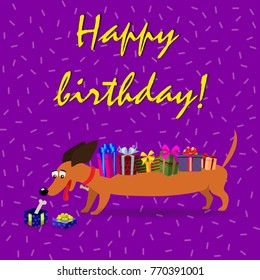 Cute cartoon long dachshund with  gift boxes upon the back watching on gift box with a bone inside on violet confetti background. Vector illustration, happy birthday greeting card. 