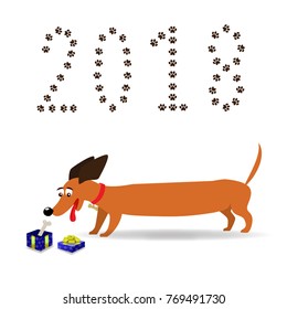 Cute cartoon long dachshund  watching on gift box with a bone inside and number 2018 made of paw prints upon isolated on white background. Vector illustration, clip art, symbol of 2018 new year.