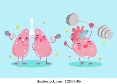 cute cartoon lung and heart do exercise on green background