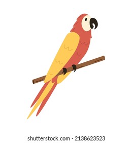 Cute cartoon macaw parrot is sitting on a branch. vector illustration of a tropical bird.