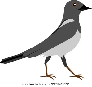 Cute cartoon magpie. Cartoon vector illustration for children isolated on white background.