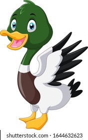 Cute Cartoon Mallard Duck Smile