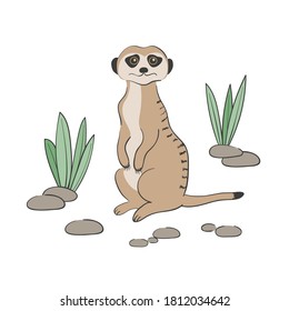 Cute cartoon Meerkat isolated on white background. Vector illustration.