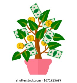 Cute cartoon money tree in flat style isolated on white background. Plant in the pot. Finance concept. Vector illustration. 