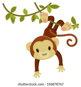 Cute cartoon monkey hanging on a liana. Vector clip art illustration