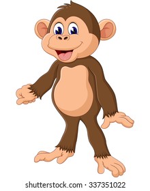 cute Cartoon monkey of illustration
