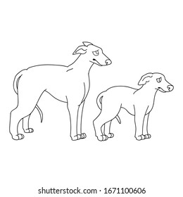 Cute cartoon monochrome greyhound dog and puppy lineart vector clipart. Pedigree kennel racing hound for dog lovers. Purebred domestic pooch for pet parlor illustration. Isolated fast canine. EPS 10. 