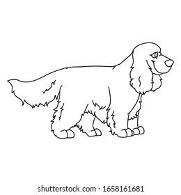 Cute cartoon monochrome lineart cocker spaniel dog vector clipart. Pedigree kennel doggie breed for dog lovers. Purebred domestic puppy for pet parlor illustration mascot. Isolated canine hunting. 