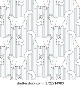 Cute cartoon monochrome lineart Ragdoll pet cat and kitten seamless vector pattern. Pedigree kitty breed domestic kitten background. Cat lover purebred all over print. Feline EPS 10.