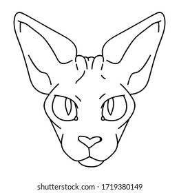 Cute cartoon monochrome sphynx cat face vector clipart. Pedigree exotic kitty breed for cat lovers. Purebred domestic kitten lineart for pet parlor illustration mascot. Isolated hairless feline.