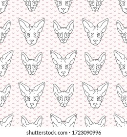 Cute cartoon monochrome sphynx cat and kitten face seamless vector pattern. Pedigree exotic kitty lineart breed domestic cat background. Cat lover black Asian purebred all over print. Hairless 