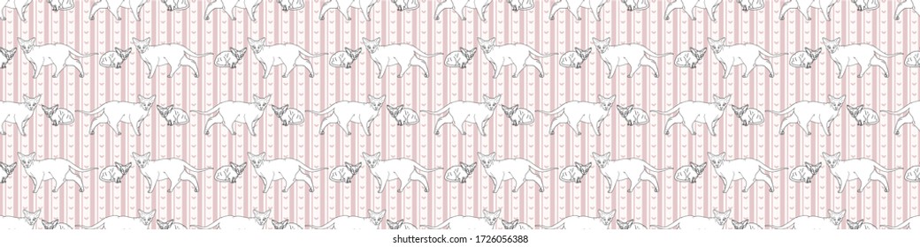 Cute cartoon monochrome sphynx cat and kitten seamless vector border. Pedigree exotic kitty lineart breed domestic cat background. Cat lover black Asian purebred all over print. Hairless 