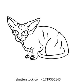 Caricatura monocromática esfínx kitten clíparte vector. Cría exótica infantil para los amantes del gato. Lino de gato doméstico de purebred para mascota de ilustración de salón de mascotas. Housecat felino sin pelo aislado.