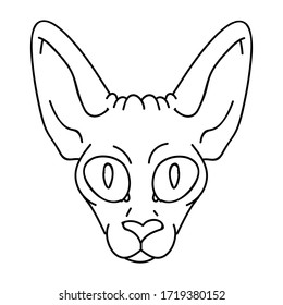 Cute cartoon monochrome sphynx kitten face vector clipart. Pedigree exotic kitty breed for cat lovers. Purebred domestic cat lineart for pet parlor illustration mascot. Isolated hairless feline.