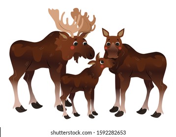 Cute cartoon moose family vector image. Male and female moose with little moose. Forest animals for kids. Isolated on white background.