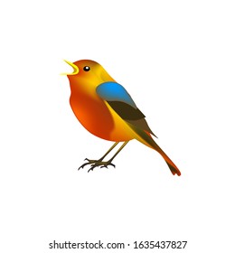 Cute cartoon multi-colored bird on a white background. Isolated.Vector illustration.