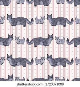 Cute cartoon munchkin cat and kitten seamless vector pattern. Pedigree kitty breed domestic cat background. Cat lover grey purebred all over print. Hairless short EPS 10. 