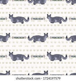 Cute cartoon munchkin cat and kitten with text seamless vector pattern. Pedigree kitty breed domestic cat background. Cat lover grey purebred all over print. Hairless short EPS 10. 