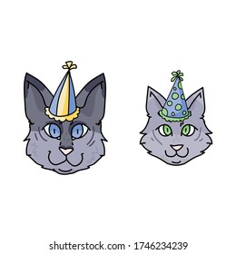 Cute cartoon munchkin cat and kitten face with party hat vector clipart. Pedigree kitty breed for cat lovers. Purebred celebration kitten for pet parlor illustration mascot. Isolated feline. EPS 10.