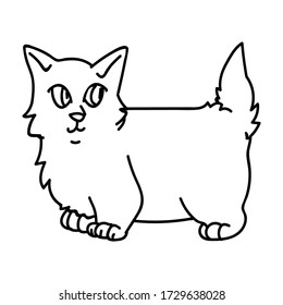 Cute caricatura munchkin kitten lineart lineart vector clipart. Raza de gatito pedigrí para los amantes de los gatos. Gatito doméstico de color gris purebrojo para mascota de ilustración monocroma de salón de mascotas. Housecat felino aislado. EPS 10.