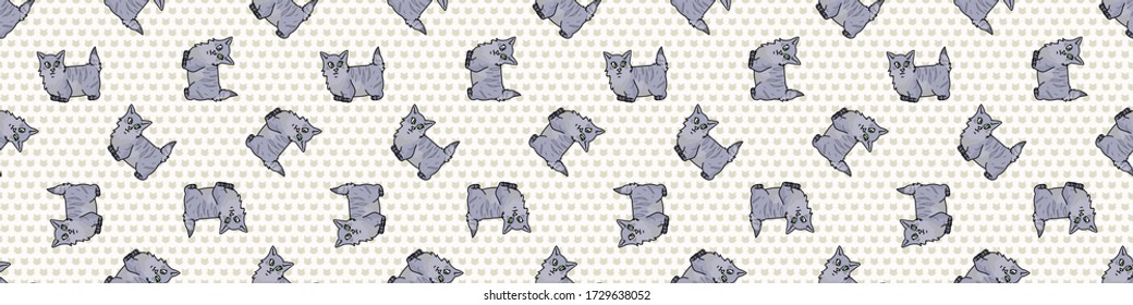 Cute caricatura munchkin kitten sin costuras borde vector. Pedigree crianza de gatos domésticos. Gato amante gris purebautizado por todo el mundo. EPS 10 sin pelo corto. 