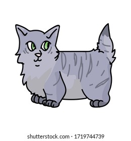 Cute caricatura munchkin kitten clíparte vector. Cría de gatitos pedigrí para los amantes de los gatos. Gatito doméstico de color gris purebred para mascota de ilustración de salón de mascotas. Housecat felino aislado. EPS 10.