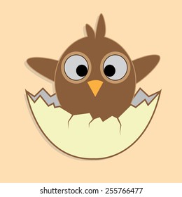 Cute cartoon newborn chick in the egg