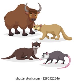 Cute cartoon North America and Europe animals set. Yak, otter, puma cougar and opossum. Vector drawings for kids. Isolated on white background.