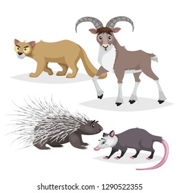 Cute Cartoon North America And Europe Animals Set. Puma Cougar, Opossum Big Horn Sheep Urial And Porcupine. Vector Drawings For Kids. Isolated On White Background.