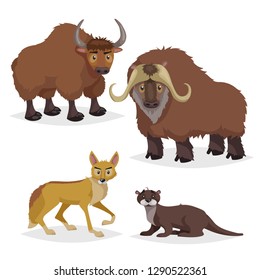 Cute cartoon North America and Europe animals set. Muskox, yak, otter and coyote. Vector drawings for kids. Isolated on white background.