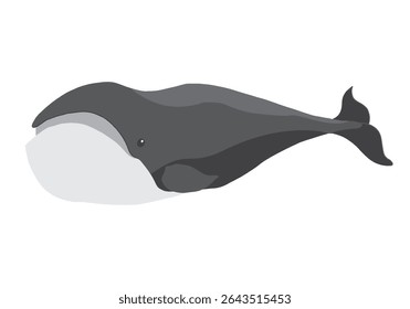 Charge de baleia do Atlântico Norte. Ártico, animal marinho polar. Ícone de imagem de criação. Ilustração de vetor.