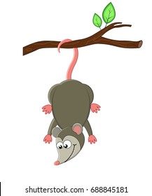 Cute cartoon opossum. Vector illustration. Smiling opossum. exotic animals.