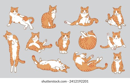 Cute Cartoon orange cat set,cat Character Design with Flat Colors in Various Poses