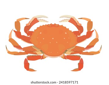 Cute cartoon orange crab. Sea food vector illustration isolated on White background.