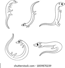 Cute Cartoon Otter Ferret Illustration Collection 