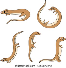 Cute Cartoon Otter Ferret Illustration Collection 