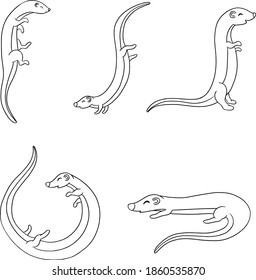 Cute Cartoon Otter Ferret Illustration Collection 