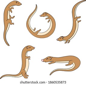 Cute Cartoon Otter Ferret Illustration Collection 