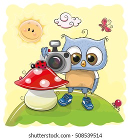 Cute cartoon Owl with a camera on the meadow