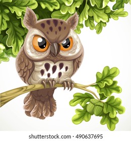 Cute cartoon owl sitting on a oak branch under a crone of leaves isolated on a white background