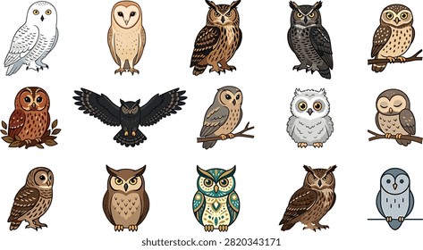 Cute cartoon owl vector collection featuring various species including snowy barn great horned and screech owls isolated on white background